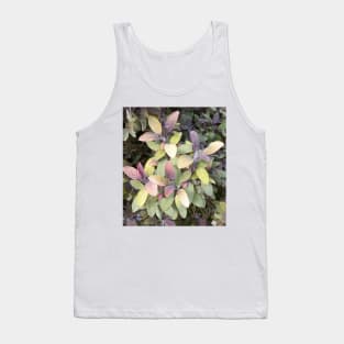 Purple Sage Tank Top